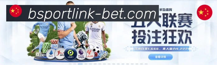 Bsports官网荣誉