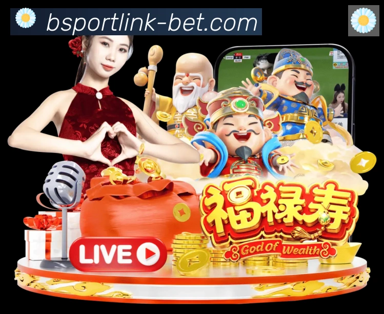 Bsports官网荣誉