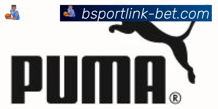 Bsports官网合作伙伴
