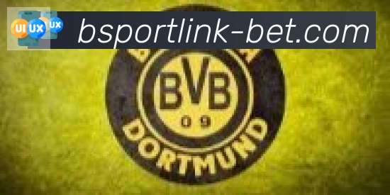 Bsports官网合作伙伴